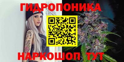 гашик Жуковский
